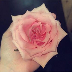 Meet your Posher, Amelia